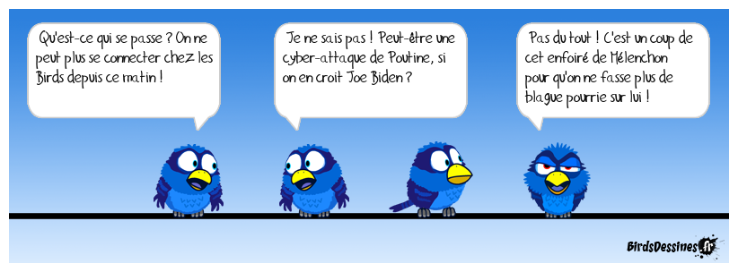 Cyber-attaque contre les Birds ! 😱