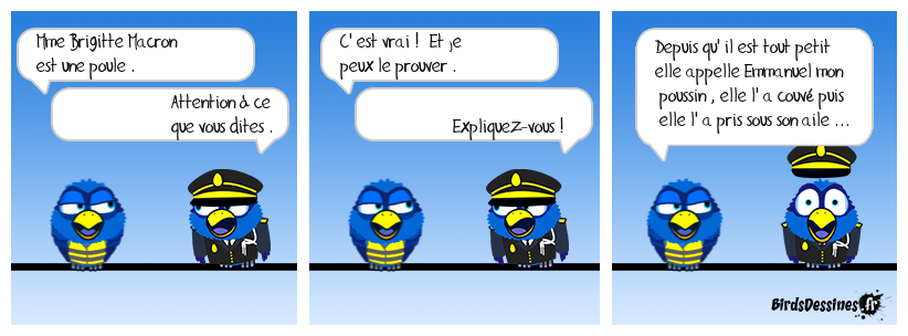 histoire de gallinacé ...