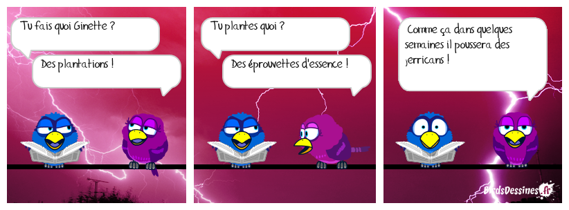 😵 Les joies du mariage avec une blonde...149 🛢️🛢️🛢️🤦‍♂️