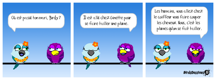 Ça se passe comme ça chez les Birds