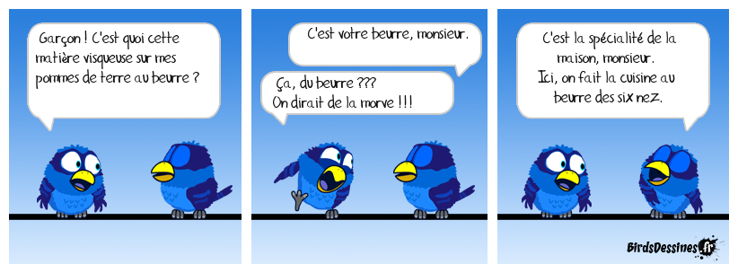 Bienvenue au BirdsDessinés