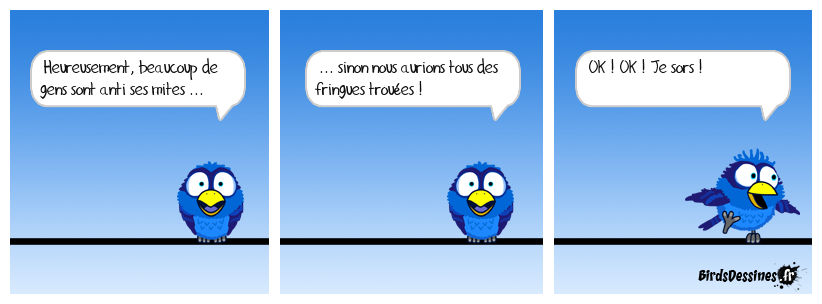 Conbird s’en mêle