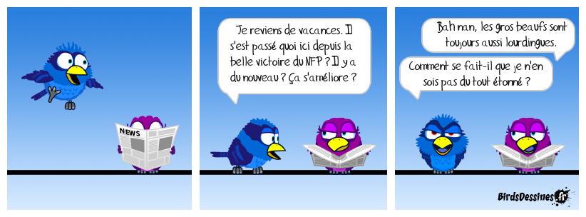 Le retour de Robird