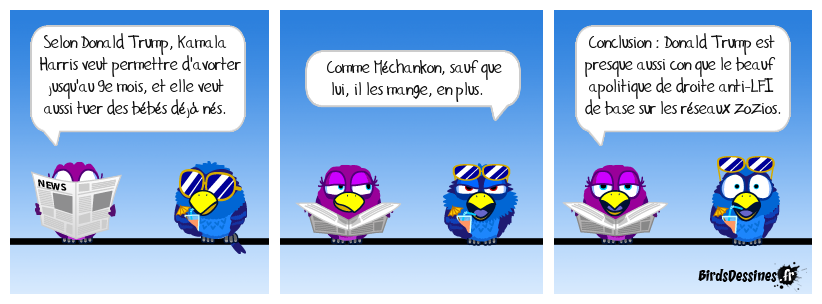 Les BeaufsDessinés 13