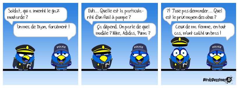 Évaluation militaire