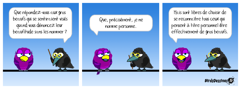 Les BeaufsDessinés 17