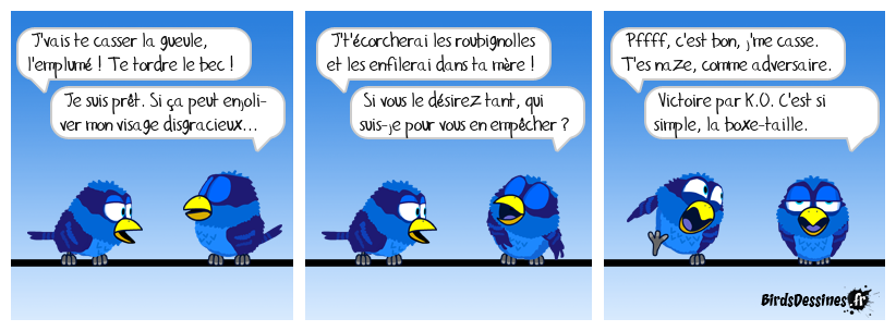 JO des Birdies (6)