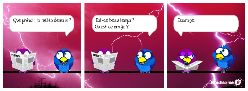 Les Zoziaux par Fraparr & firespip  Firespip_avis-de-tempete_1723669700