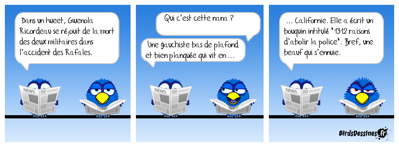 La réalité dépasse les birds