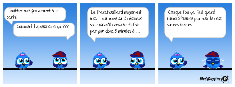 Les réseaux sociaux