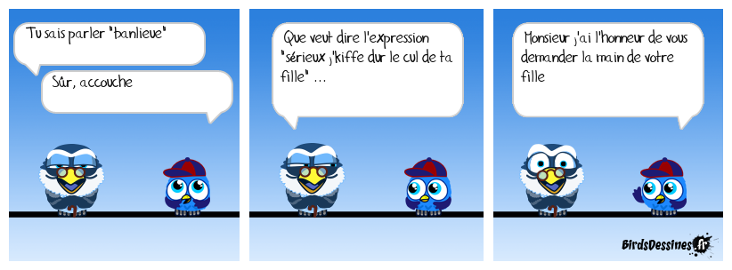 Les Zoziaux par DD2SS & Bird demi-sel  Dd2ss_cest-si-simple_1725168258