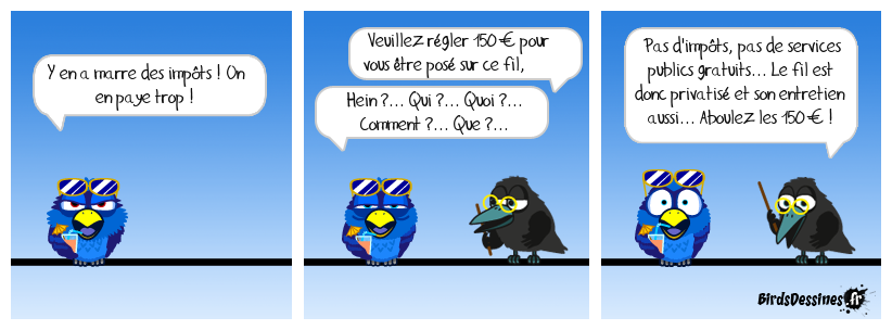 Les BeaufsDessinés 25