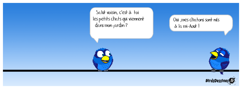 les chats ne sont pas amis des oiseaux