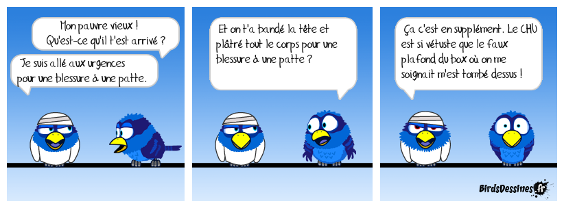 Quand le CHU fait pire que les Birds...