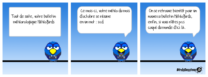 MétéoBirds Octobre 2024