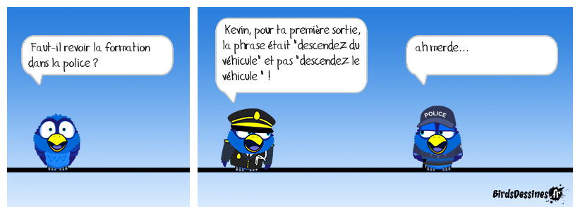 Formation policière