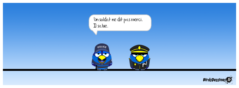 En uniforme, tout militaire doit le salut