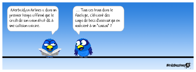 Mauvais plan de vol... d'oiseaux !