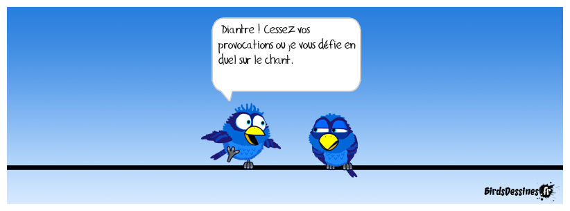 Duel façon birds