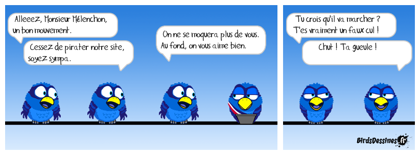 Pitié pour les Birds !