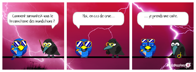 Système D