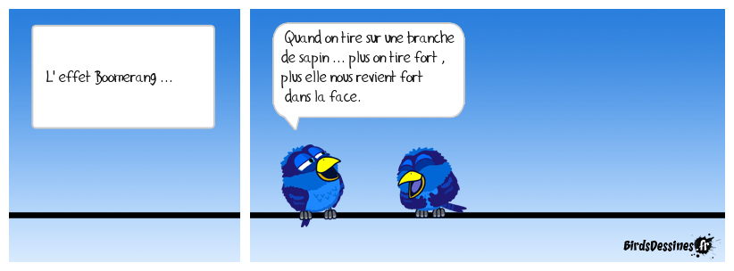 L' effet Boomerang ...