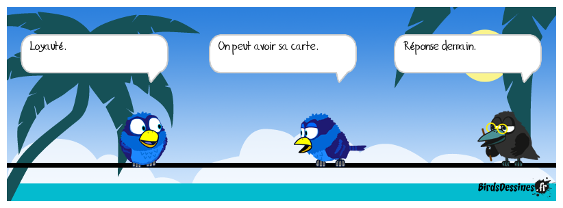 Verbi 941
