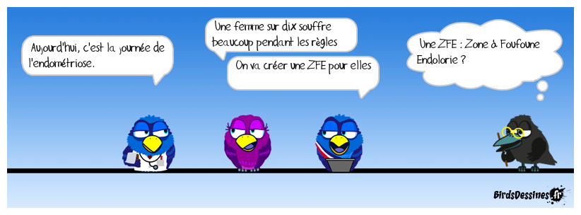 Aïe des ours !