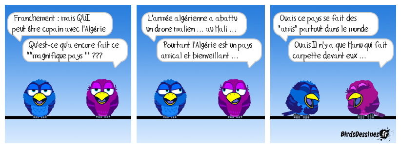 L'Algérie c'est la valise ou le cercueil ...