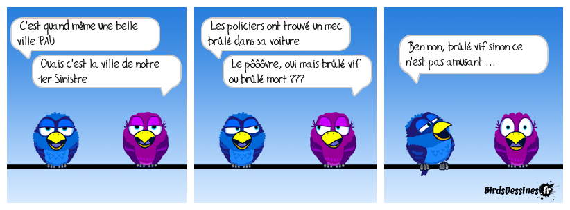 Nouvelle françarabia c'est de nouvelles coutumes