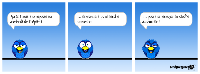 Vu le bordel à la maison, elle va encore me casser les œufs !