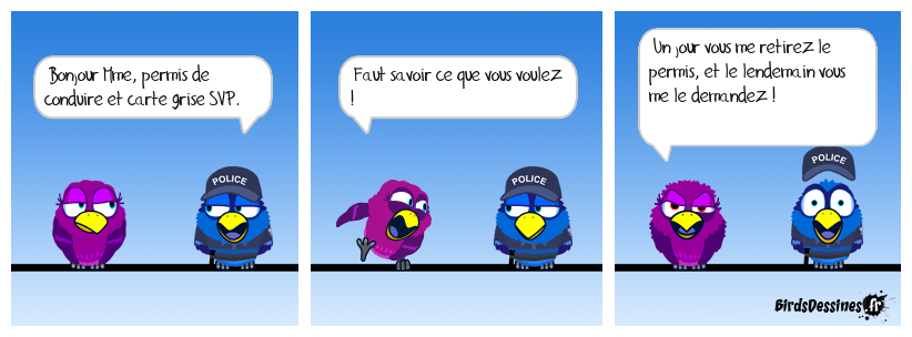 Contrôle routier 4