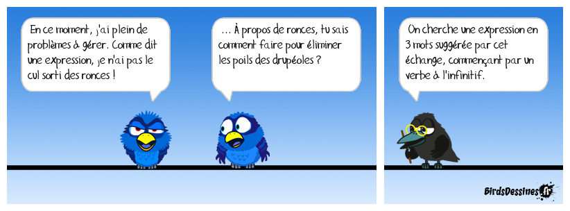 Verbidouillage n° 638 (expression française n° 355)
