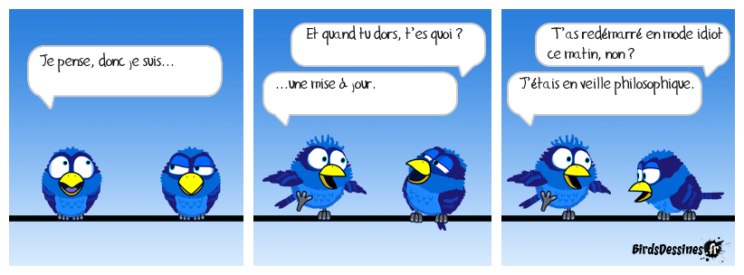 Le Bird philosophe